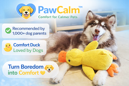 PawCalm Comfort Duck